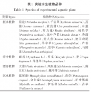 水生植物净化农村生活污水-上海金山污泥处理