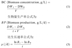 人工污水脱氮除磷-毛枝藻-污水处理公司