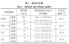 高出水标准地下式再生水厂运行问题-污水处理厂