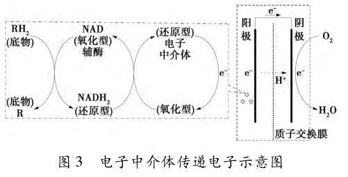 膜生物反应技术处理污水-工业水处理