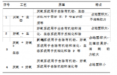 农村生活污水生态处理浅析-污水处理厂