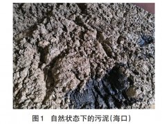 污泥无害化处理生产烧结砖技术-污泥处理厂