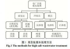 电厂含盐废水蒸发处理技术-污泥处理公司