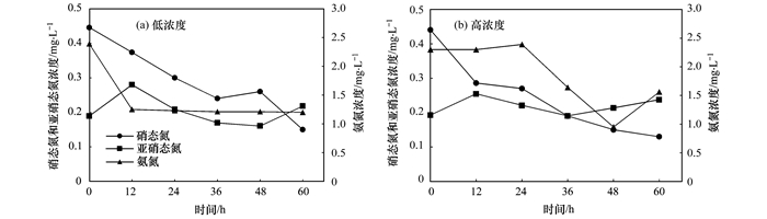 废水生物脱氮工艺-厌氧氨氧化-上海城市废水处理