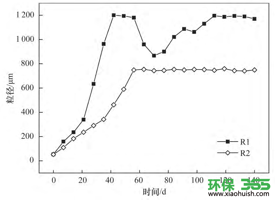 污泥处理