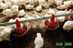 不合格食品销毁中心-2019年畜禽蜂产品兽药监测合格率超99%