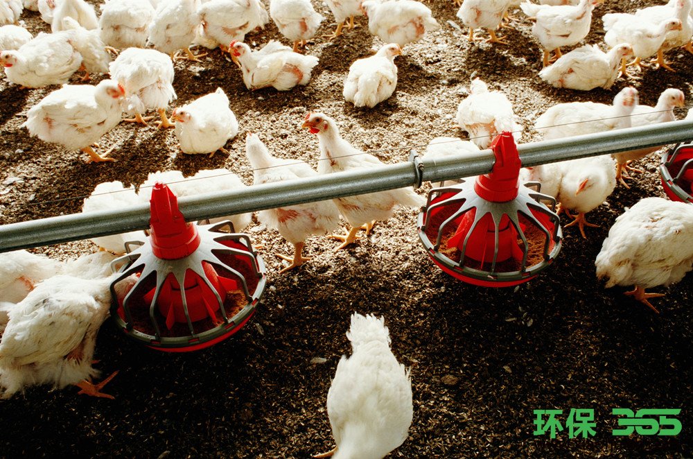 食品销毁公司