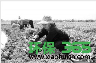 食品销毁公司